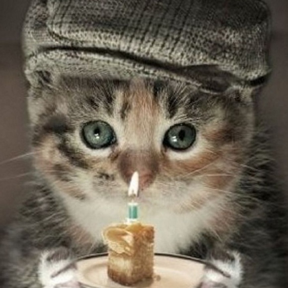 Meet your Posher, Michele - Picture 1 of 1